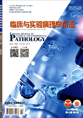 临床与实验病理学封面